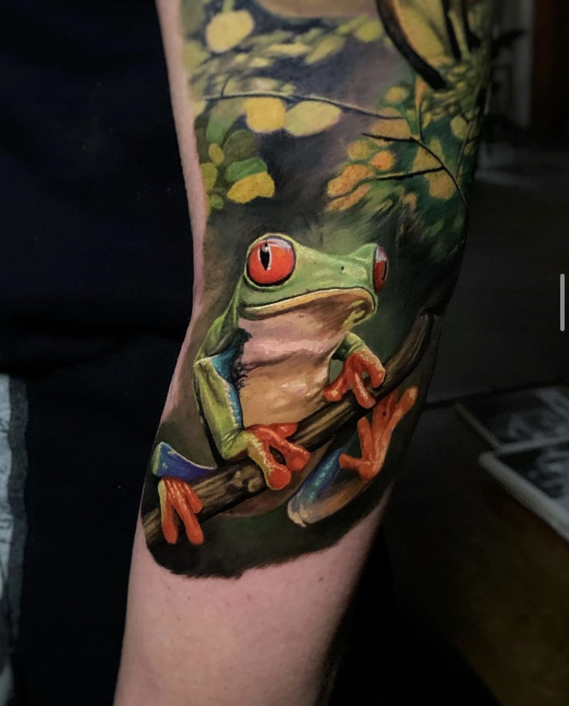 Color-Tattoo-gruener-Frosch